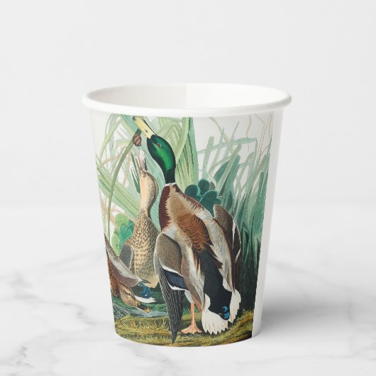 Gobelets En Papier Canard colvert des oiseaux d'Amérique (Audubon)  (Gauche)