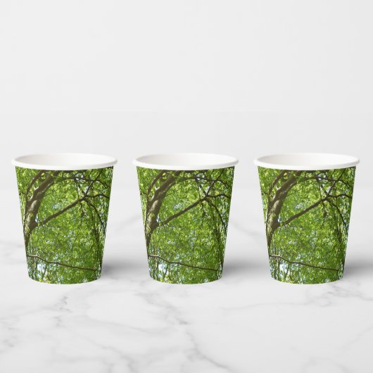 Gobelets En Papier Canopée du printemps Feuille Green Nature Scene (Multi)