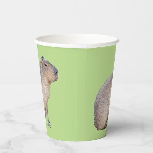 Gobelets En Papier Capybara (Droite)