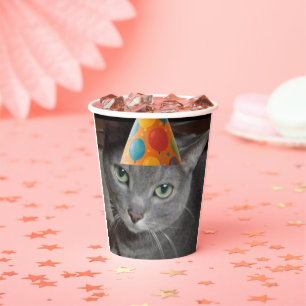 Gobelets En Papier Casquette du parti Gray Cat
