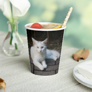 Gobelets En Papier Chat blanc