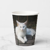 Gobelets En Papier Chat blanc (Verso)