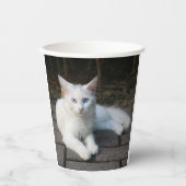 Gobelets En Papier Chat blanc (Recto)