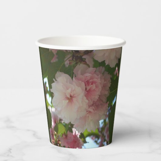 Gobelets En Papier Cherry Tree I Spring Floral (Verso)