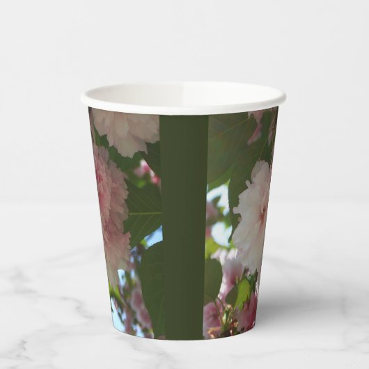 Gobelets En Papier Cherry Tree I Spring Floral (Gauche)