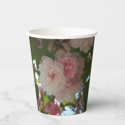 Gobelets En Papier Cherry Tree I Spring Floral (Recto)