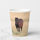 Gobelets En Papier Cheval Mustang sauvage de Brown Bay (Recto)