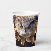 Gobelets En Papier Chouette (Verso)