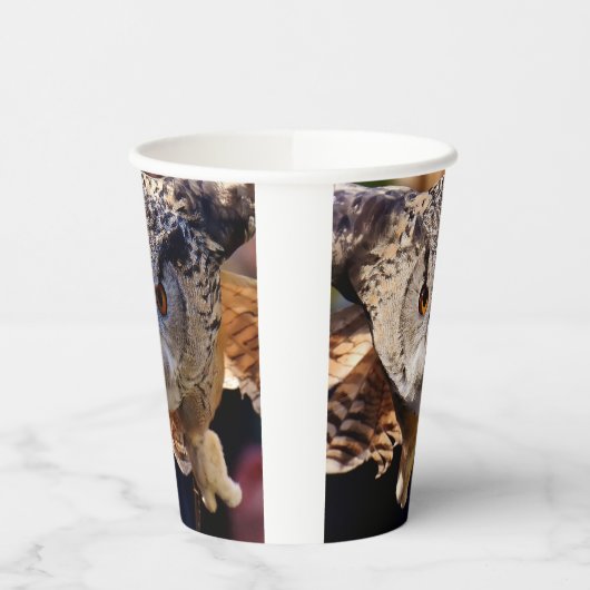 Gobelets En Papier Chouette (Gauche)