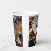 Gobelets En Papier Chouette (Droite)