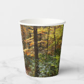 Gobelets En Papier Chute Sunlit dans le parc national de Laurel Hill (Verso)