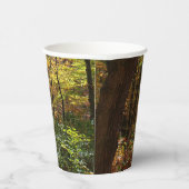 Gobelets En Papier Chute Sunlit dans le parc national de Laurel Hill (Droite)
