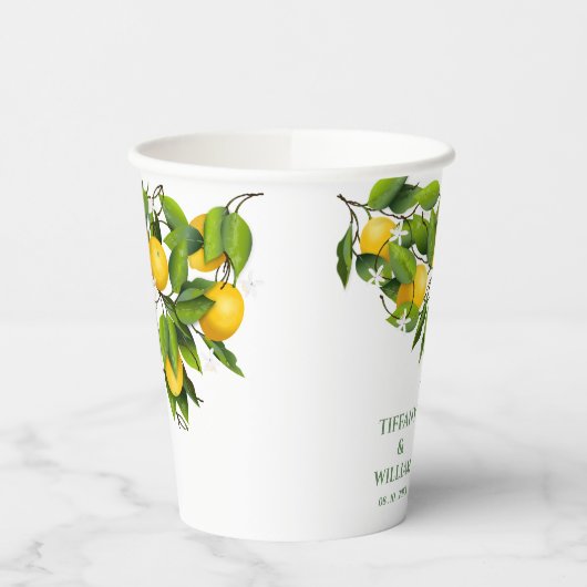 Gobelets En Papier Cocktail Citron Citrus Fruit Party (Gauche)