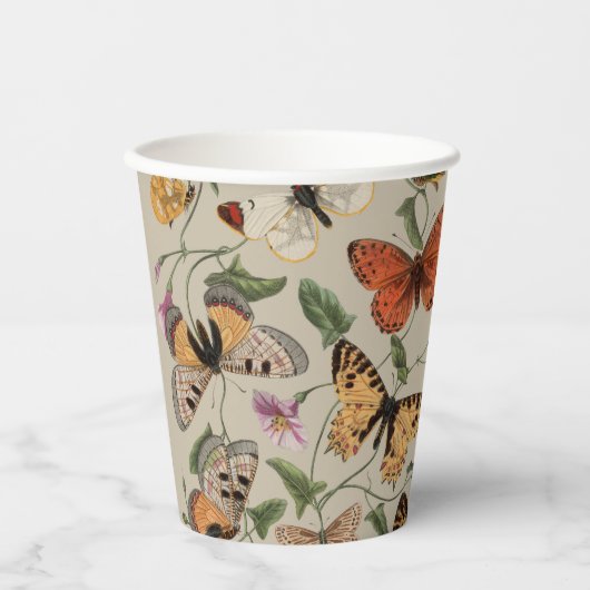 Gobelets En Papier Collection de la papillon Moth Nature Dessin (Recto)