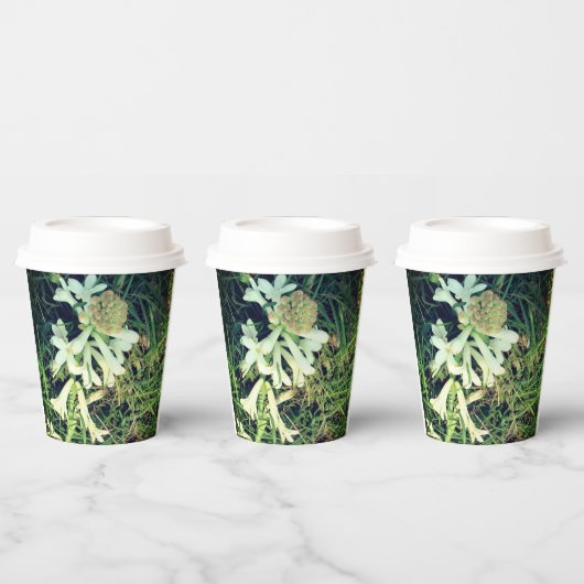 Gobelets En Papier Conception naturelle chic tasse en papier (Multi)