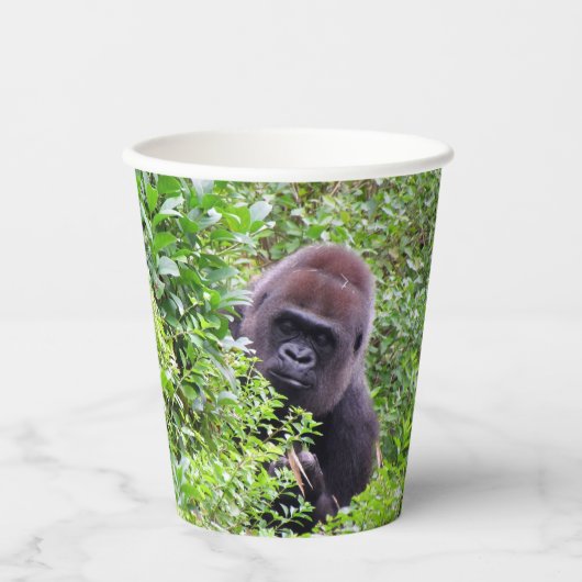 Gobelets En Papier Coupe en papier Peek-A-Boo Gorilla (Recto)
