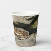 Gobelets En Papier Crotale dans le parc national de Shenandoah (Verso)