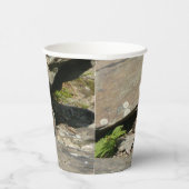 Gobelets En Papier Crotale dans le parc national de Shenandoah (Droite)