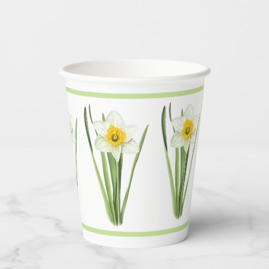 Gobelets En Papier Daffodil Fleur Botanique (Verso)