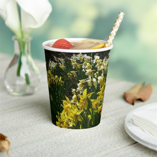 Gobelets En Papier Daffodiles jaunes et blancs Fleurs de printemps (Insitu)