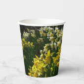 Gobelets En Papier Daffodiles jaunes et blancs Fleurs de printemps (Recto)