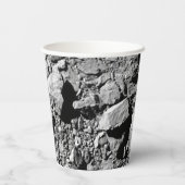 Gobelets En Papier DART Dimorphos Asteroid Moonlet Surface (Verso)