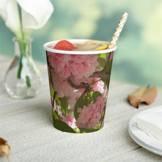 Gobelets En Papier Double floraison cerisier III printemps fleuri (Insitu)