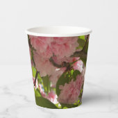 Gobelets En Papier Double floraison cerisier III printemps fleuri (Recto)