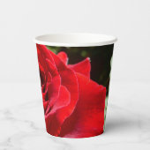 Gobelets En Papier Fleur rose rouge vif Belle florale (Verso)