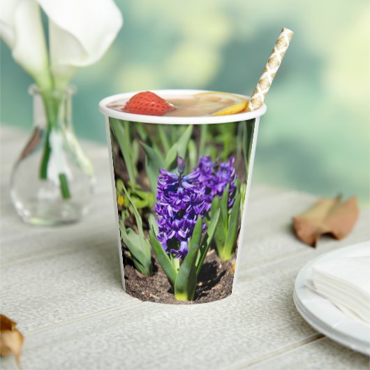 Gobelets En Papier Géocinthe bleu au printemps (Insitu)