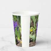 Gobelets En Papier Géocinthe bleu au printemps (Droite)