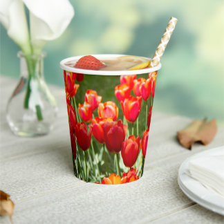 Gobelets En Papier Grand champ de tulipes rouges