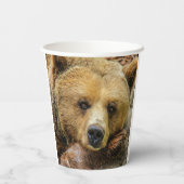 Gobelets En Papier Grizzly Bear (Verso)
