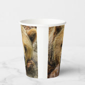 Gobelets En Papier Grizzly Bear (Droite)
