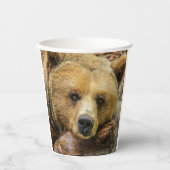 Gobelets En Papier Grizzly Bear (Recto)