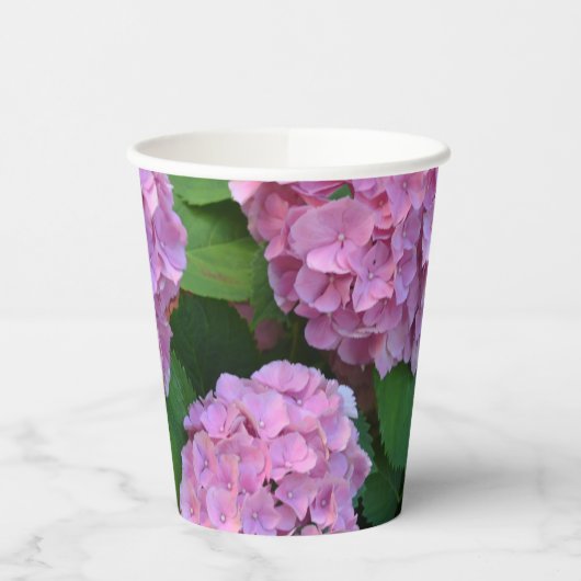 Gobelets En Papier Hortensia hydrangea rose (Gauche)