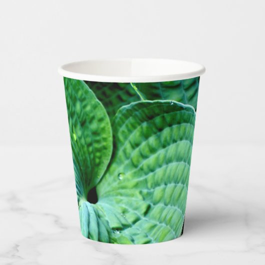 Gobelets En Papier Hosta Heart (Gauche)