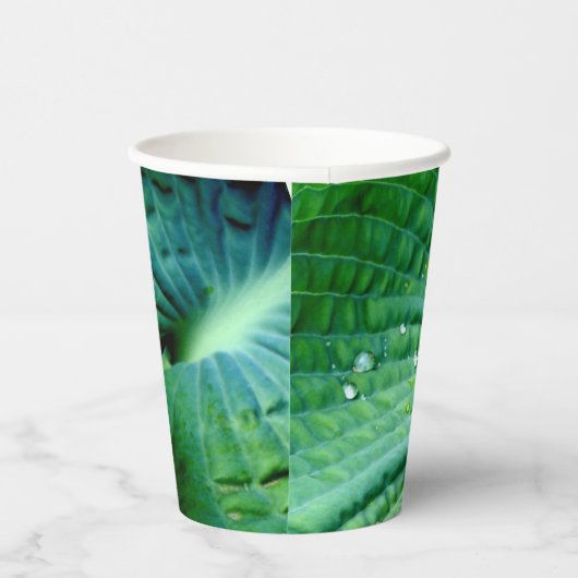 Gobelets En Papier Hosta Heart (Droite)