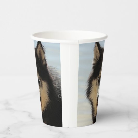 Gobelets En Papier Husky (Droite)
