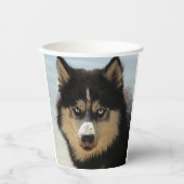 Gobelets En Papier Husky (Recto)