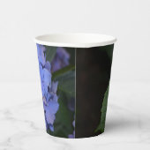 Gobelets En Papier Hydrangea macrophylla violette rustique (Droite)