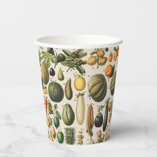 Gobelets En Papier Illustration scientifique végétale des fruits (Verso)