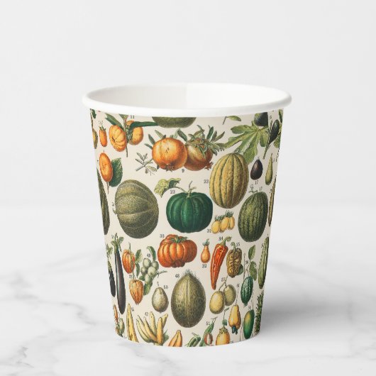 Gobelets En Papier Illustration scientifique végétale des fruits (Gauche)