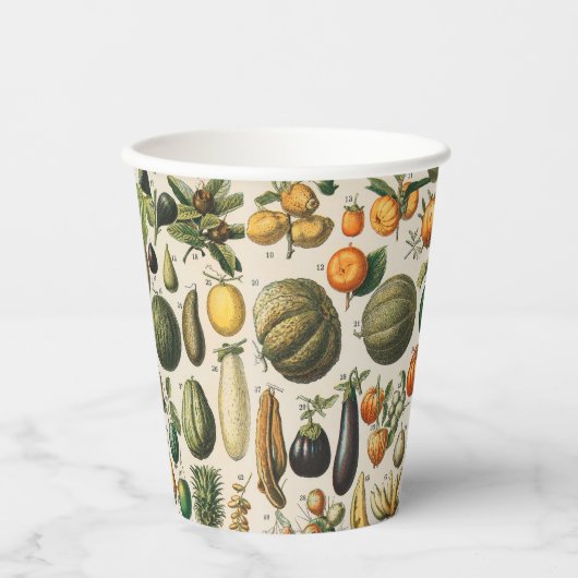 Gobelets En Papier Illustration scientifique végétale des fruits (Recto)