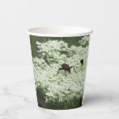 Gobelets En Papier Insecte sur fleurs d'Elderflower (Verso)