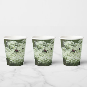 Gobelets En Papier Insecte sur fleurs d'Elderflower