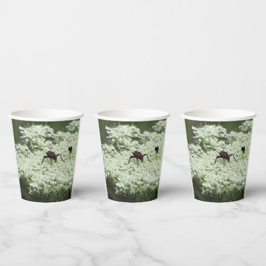 Gobelets En Papier Insecte sur fleurs d'Elderflower (Multi)