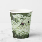 Gobelets En Papier Insecte sur fleurs d'Elderflower (Recto)
