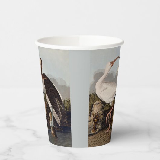 Gobelets En Papier John James Audubon White Ibis Bird Print Classic (Gauche)