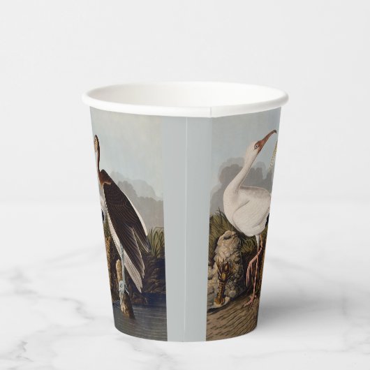 Gobelets En Papier John James Audubon White Ibis Bird Print Classic (Droite)